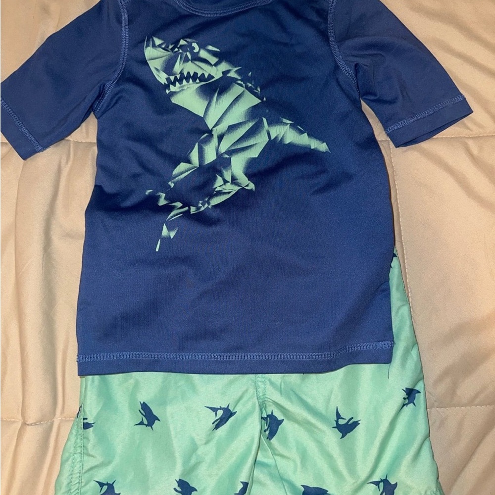 Sporto Blue Dinosaur Print Rash Guard